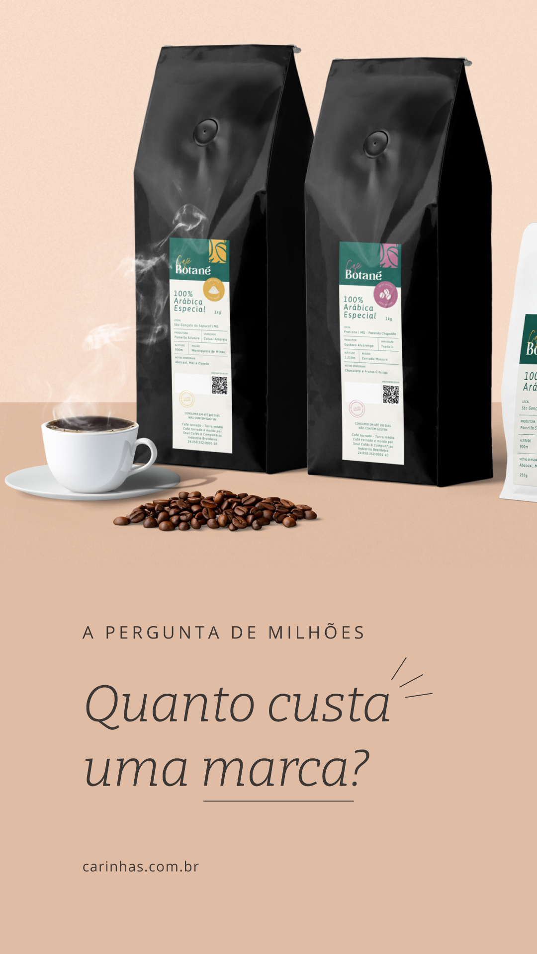 Centavos ou milhões? Quanto custa uma marca para minha empresa?